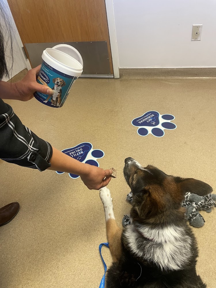 VCA Southeast Area Animal Hospital