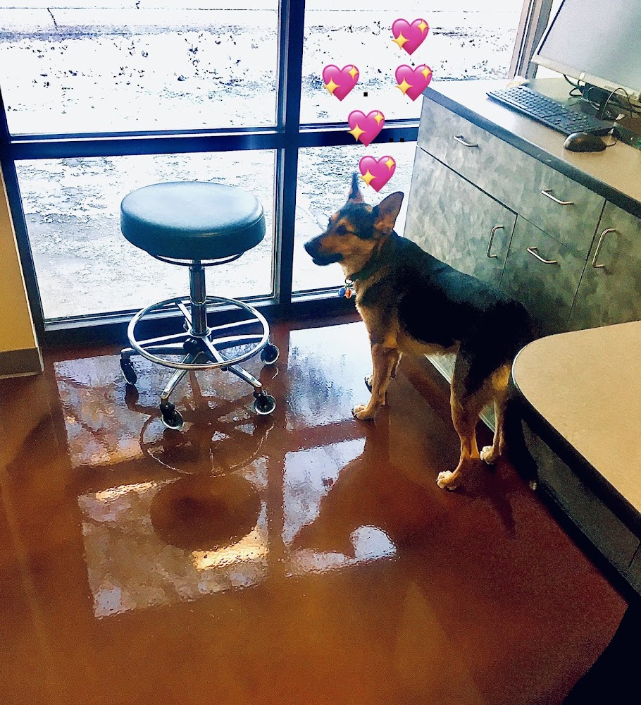 VCA Park Hill Animal Hospital