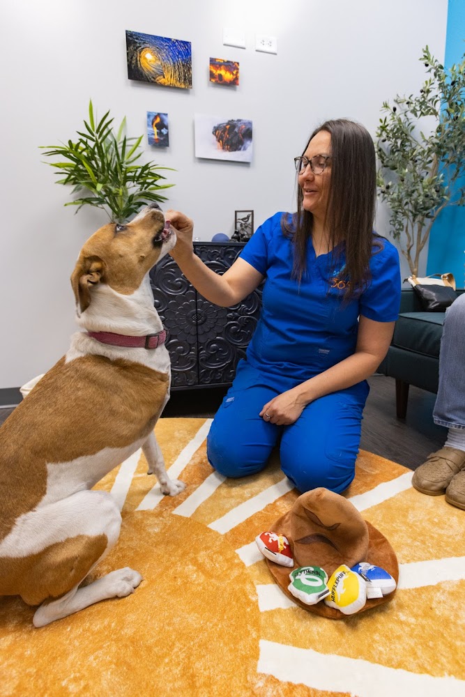 PetVet365 Pet Hospital Denver / University