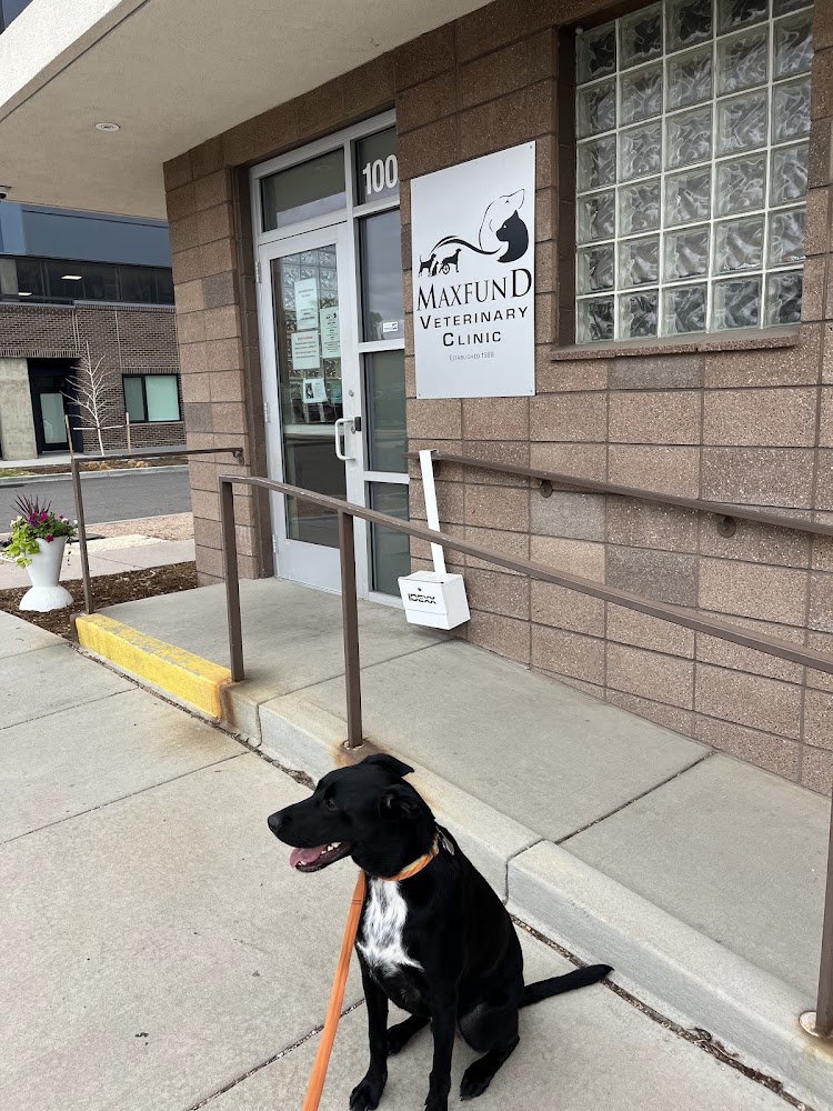 True Companions Veterinary Clinic