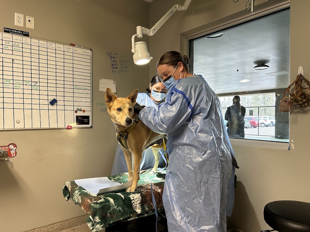 Wheat Ridge Animal Hospital
