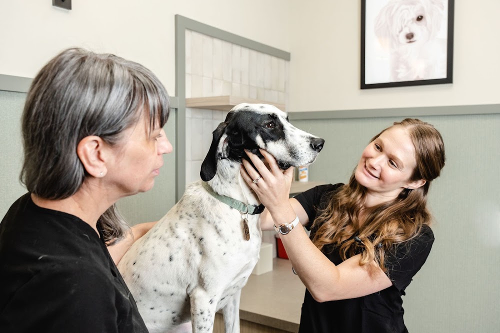 GoodVets Highlands