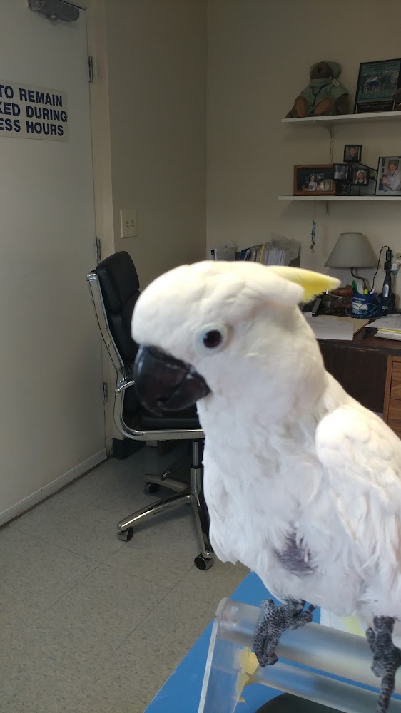 VetCare Animal Hospital