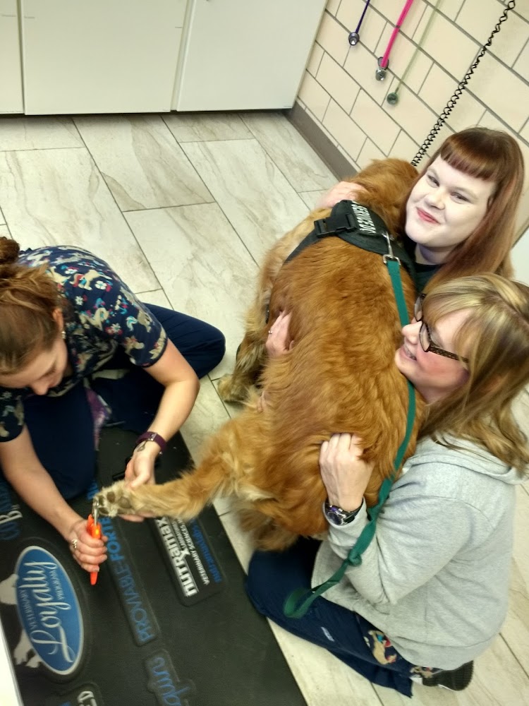 Cherrelyn Animal Hospital