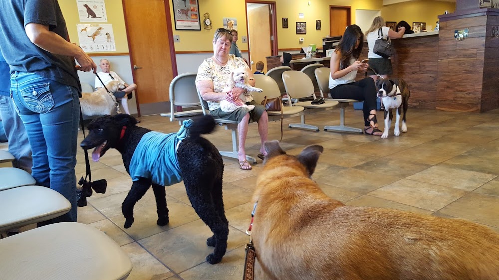 Broadview Animal Clinic