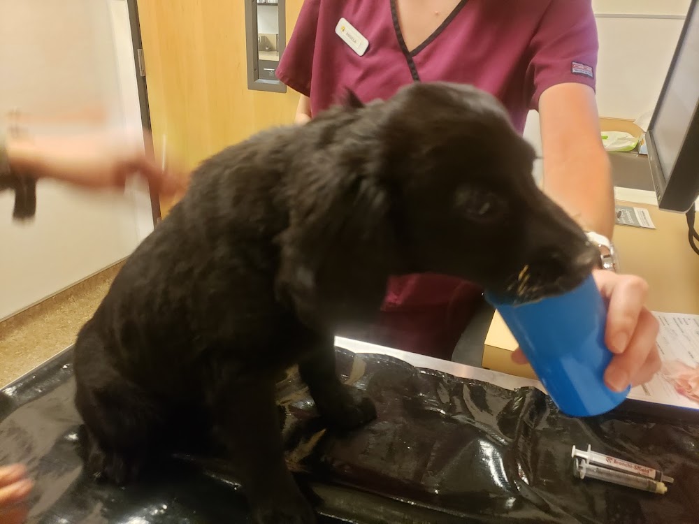 Hampden Family Pet Hospital