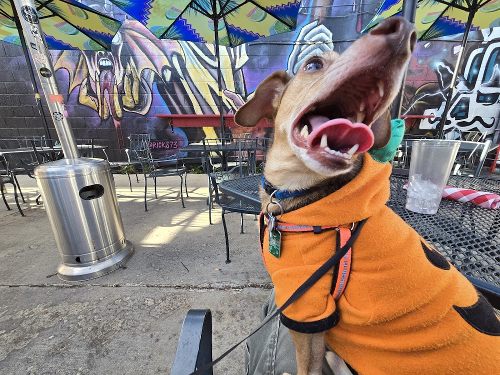 Pets On Broadway Animal Hospital