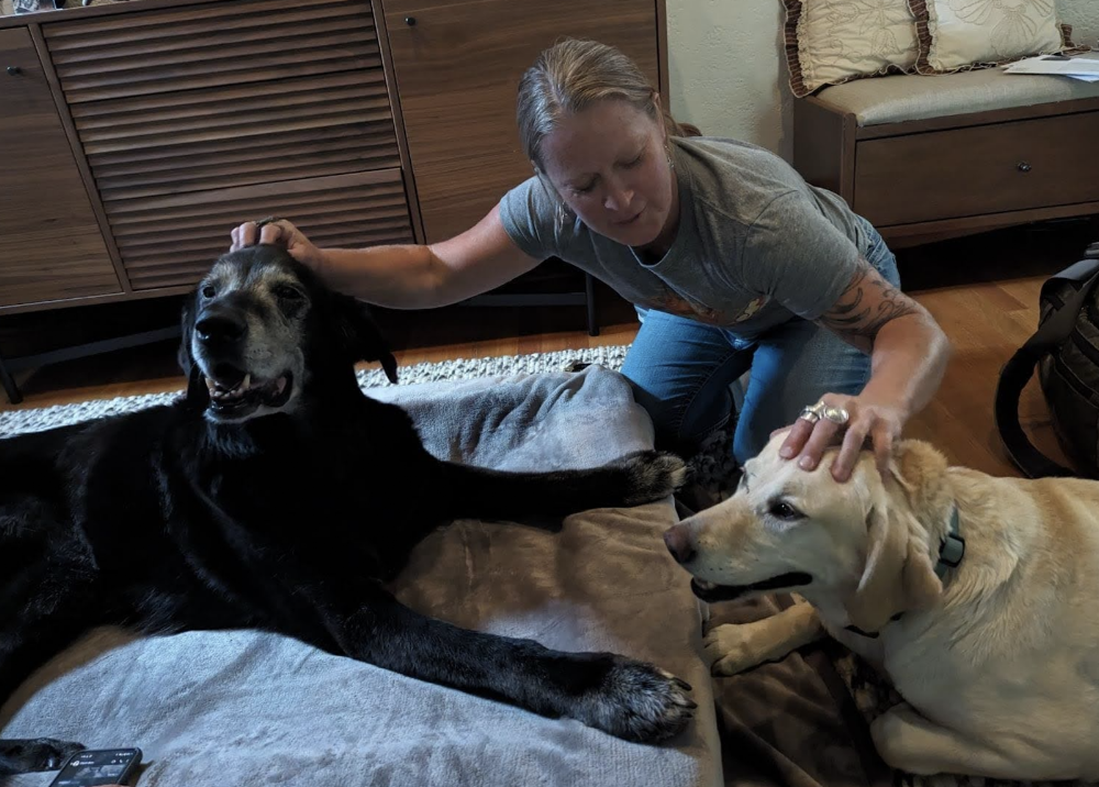 Zen Pet - Mobile Holistic Veterinary Medicine