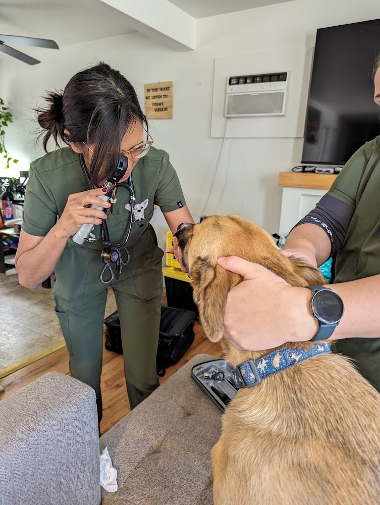 The Mobile Pawlyclinic