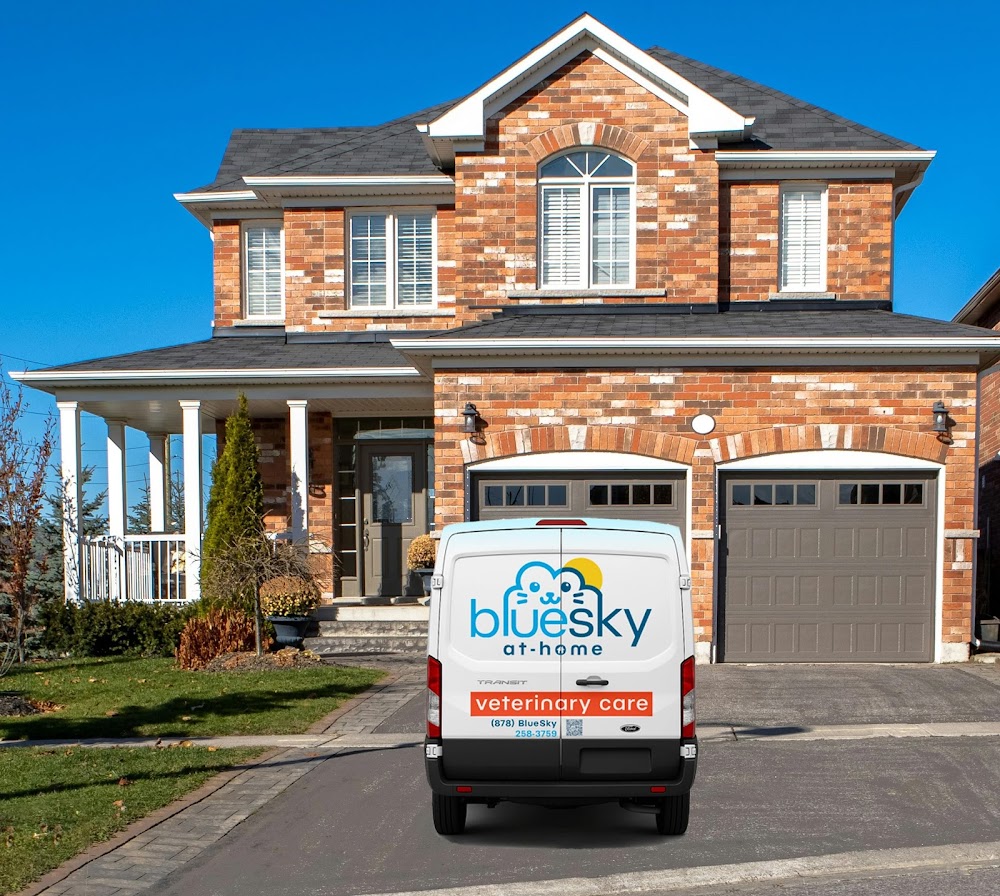 BlueSky At-Home Veterinary Care