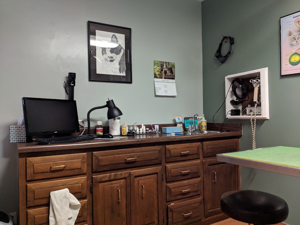Eye Clinic Veterinary