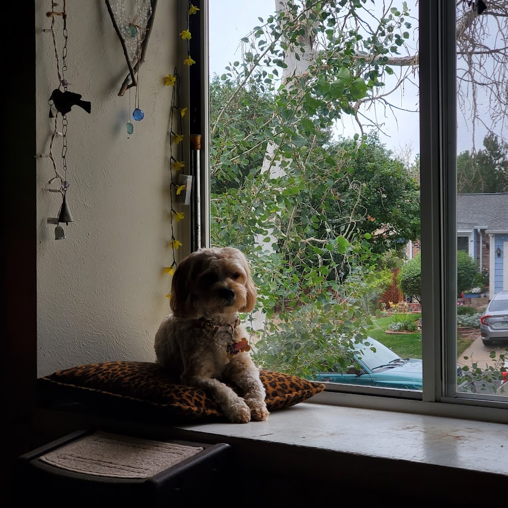 Belcaro Animal Hospital
