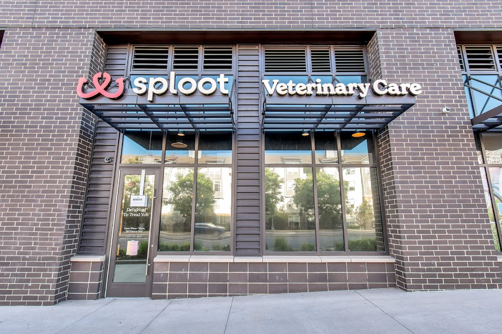 Sploot Veterinary Care - Commons Park