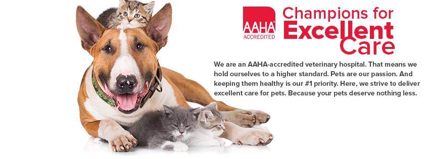 Park Hill Veterinary Medical Center